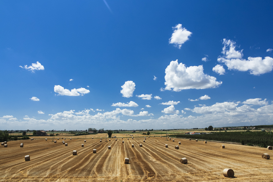 Radweg FE 20 am Damm