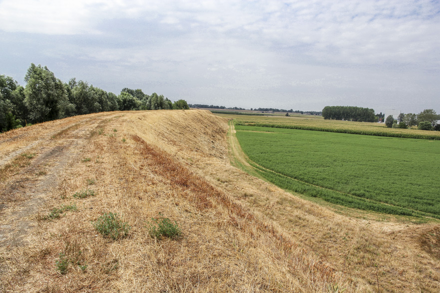 Felder in der Emilia