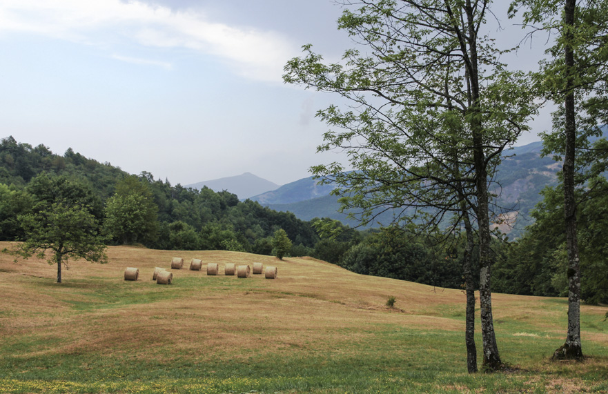 Secchiatal – Aufstieg