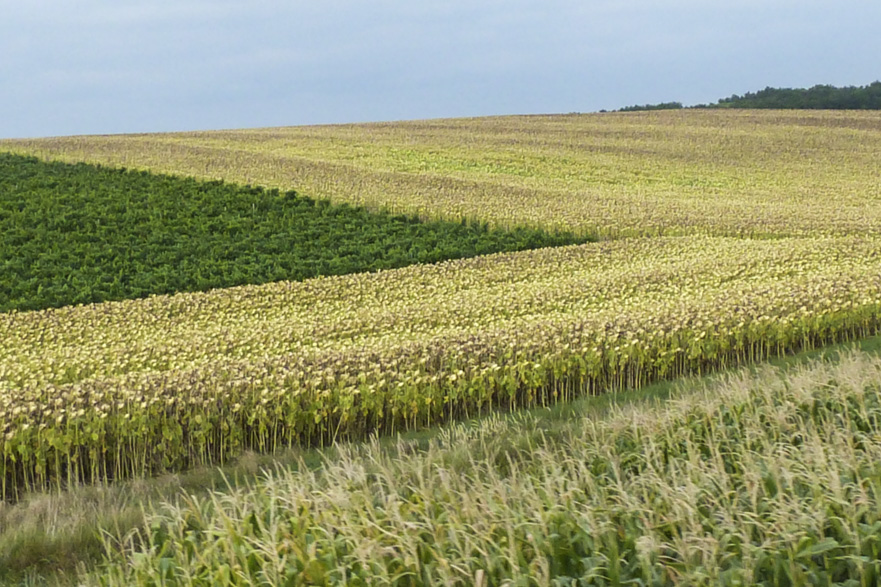 Annäherung an Laa an der Thaya