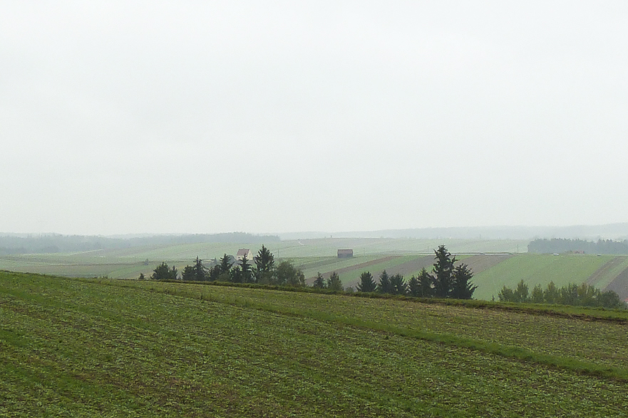 Zwettl – Abfahrt im Nieselregen