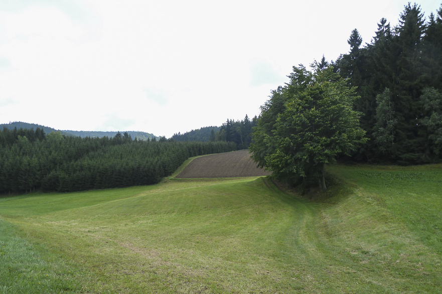 Weinbau auf steilen Terrassen