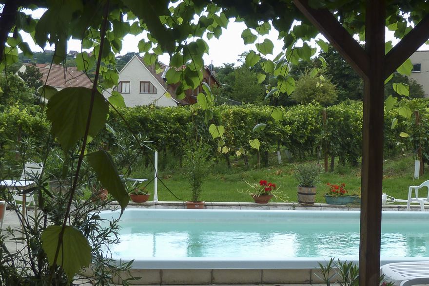 Il Vaticano – letztes Bier