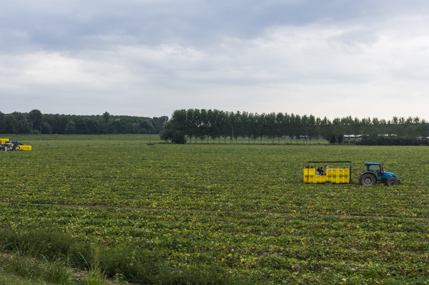 Hauptplatz von Brescello – hier wurden die Filme gedreht