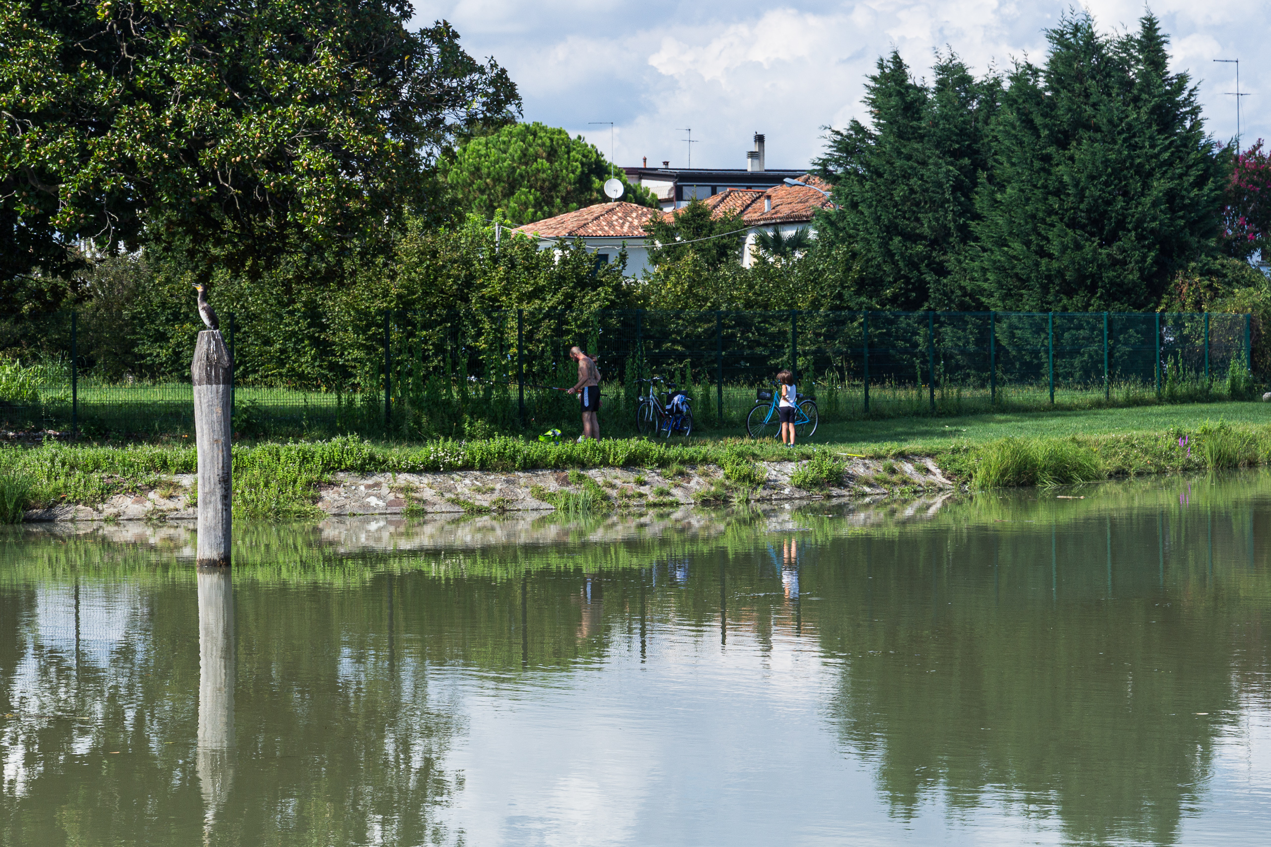 Angler und Kormoran am Wasser vor Padova
