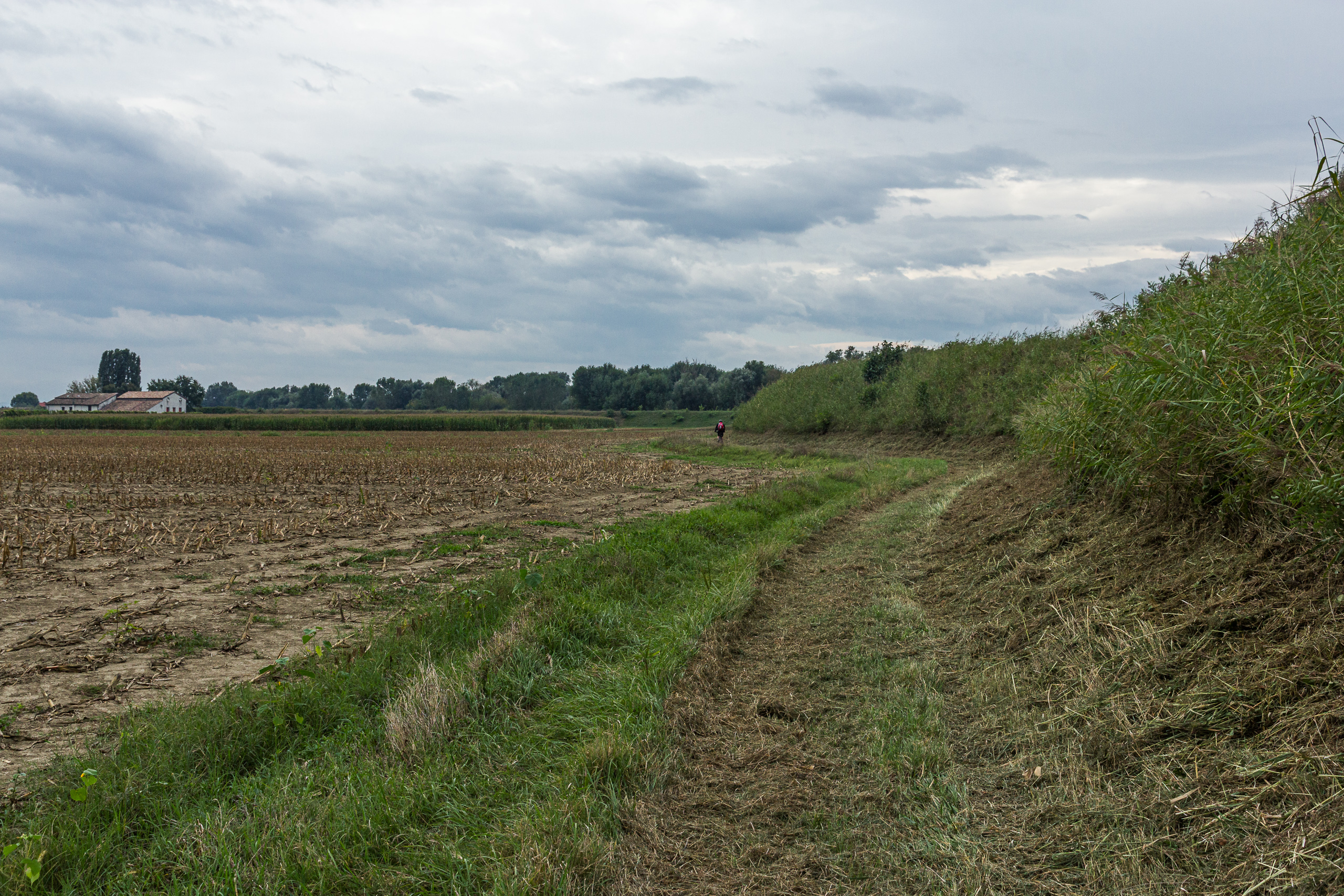 Auf dem Damm entlang der Felder – unterwegs nach Parma