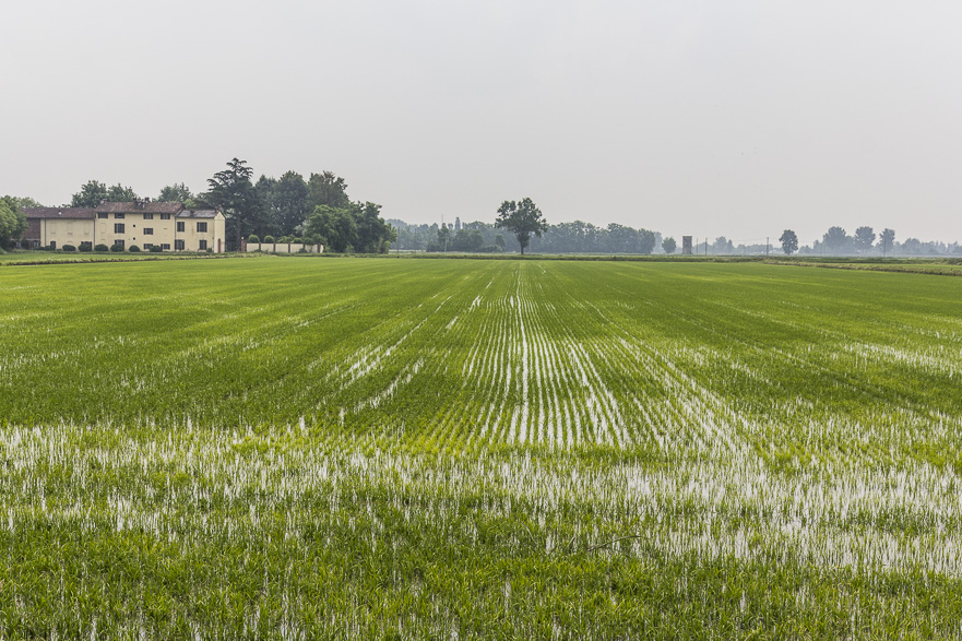 Bewässerungskanäle der Poebene