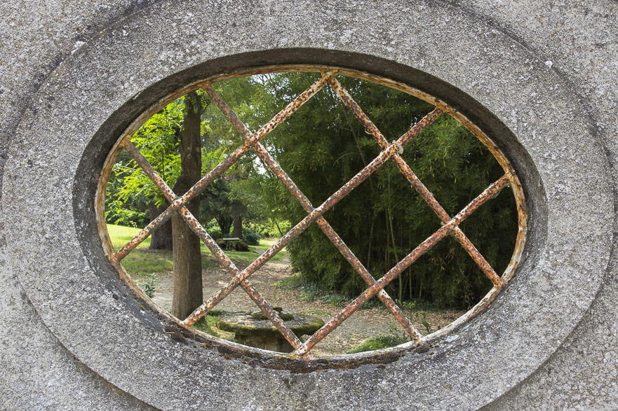 Geflutete Reisfelder in der Poebene – Fischreiher und Ibisse am Wegrand