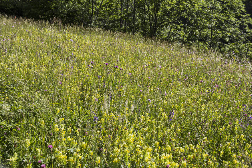 Bis Novalesa geht es noch problemlos