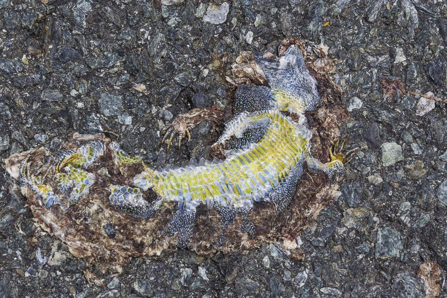 Susa – Saint-Jean-de-Maurienne: Über den Moncenisio