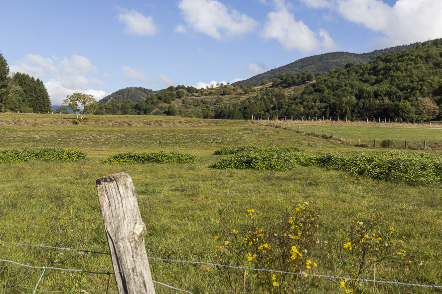 Der Thur aufwärts – grüne, bewaldete Hügel, spärlicher Verkehr