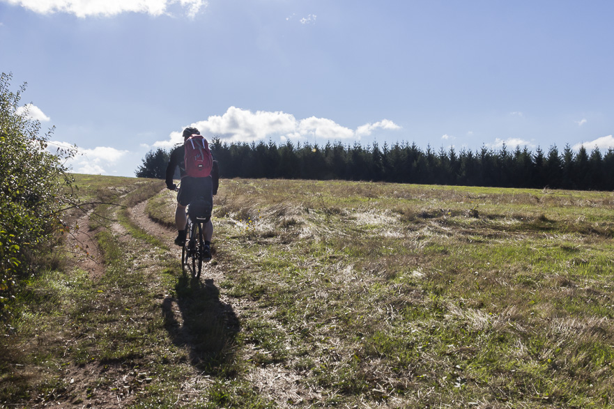 Ein ständiges Auf und Ab – nach 10 km schon einige hundert Höhenmeter Steigung