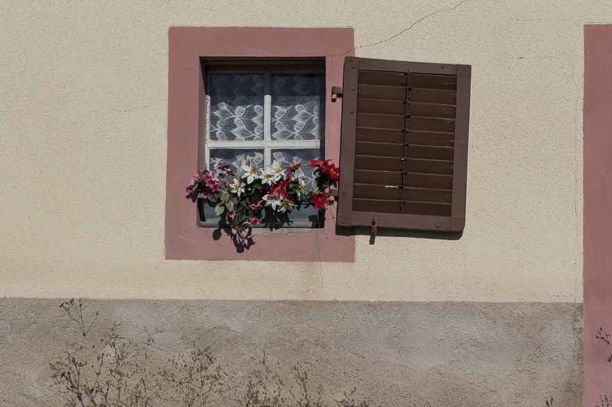 Wiesen und Weiden mit Pferden und Kühen