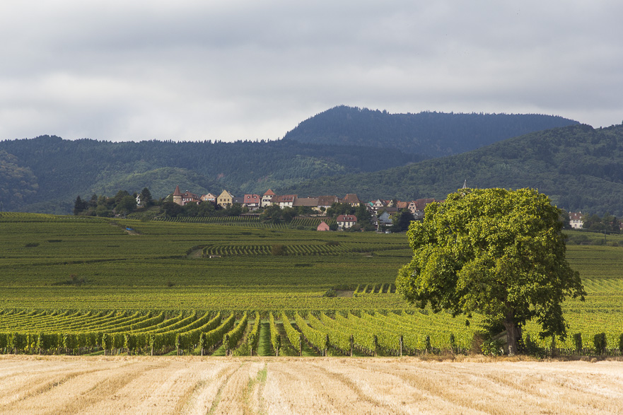 Fachwerkhäuser entlang der Strecke