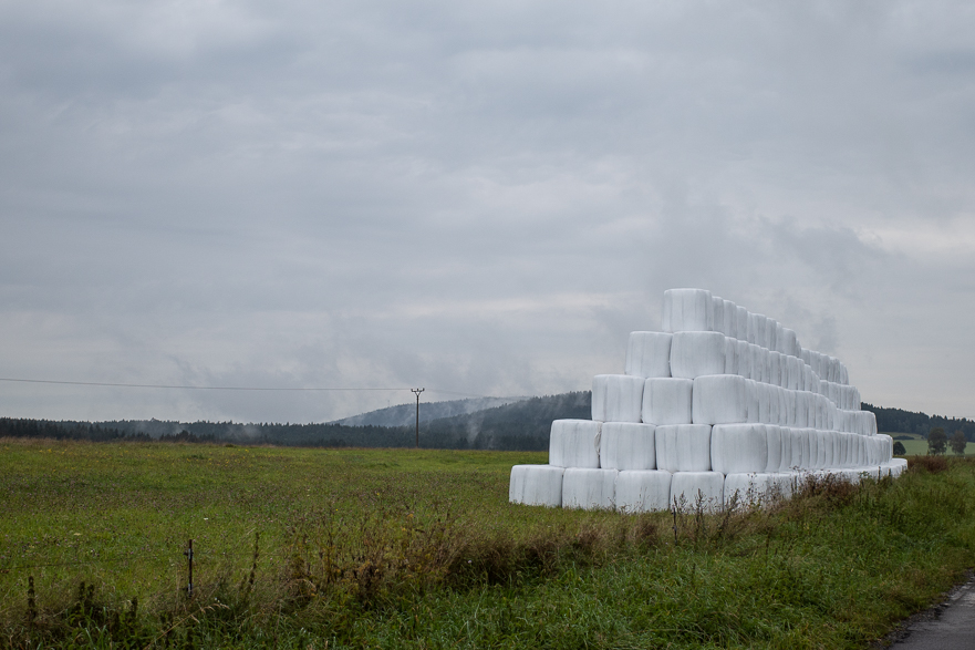 Schmaler Waldpfad entlang der ehemaligen Grenze