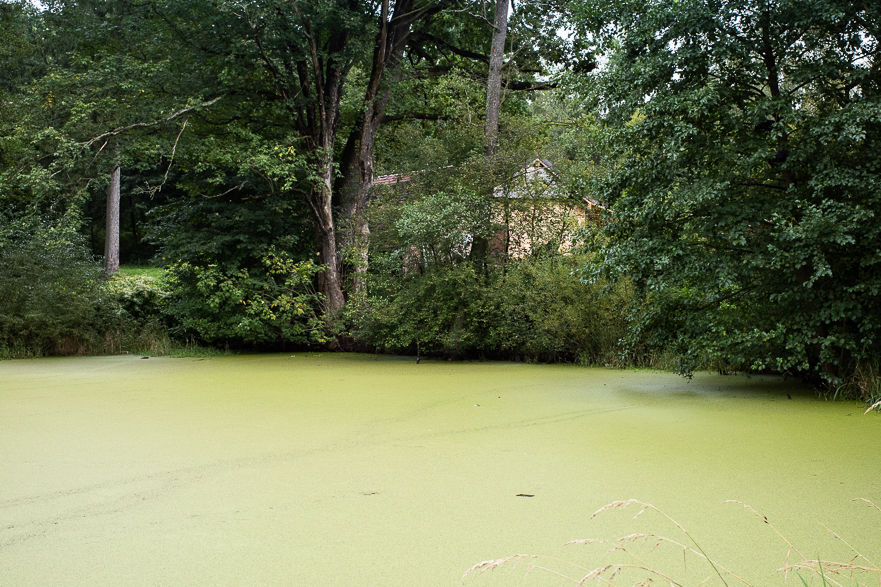 Großer Fischteich – es hat viel geregnet