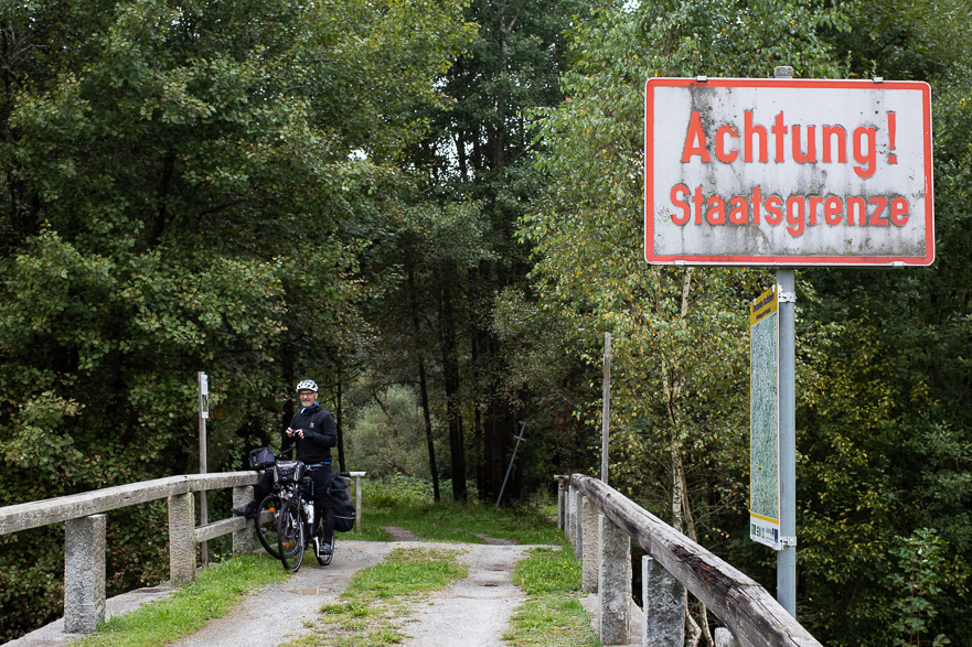 Blick durch Fichtenwald