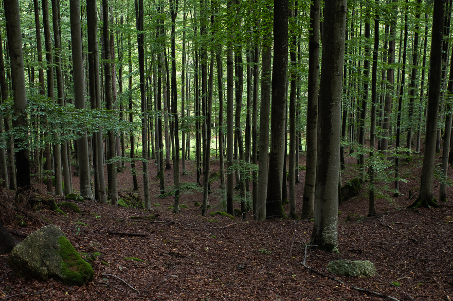 Abendstimmung kurz vor dem Etappenziel