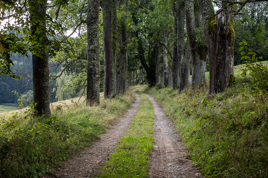 Ankunft in Černé Údolí