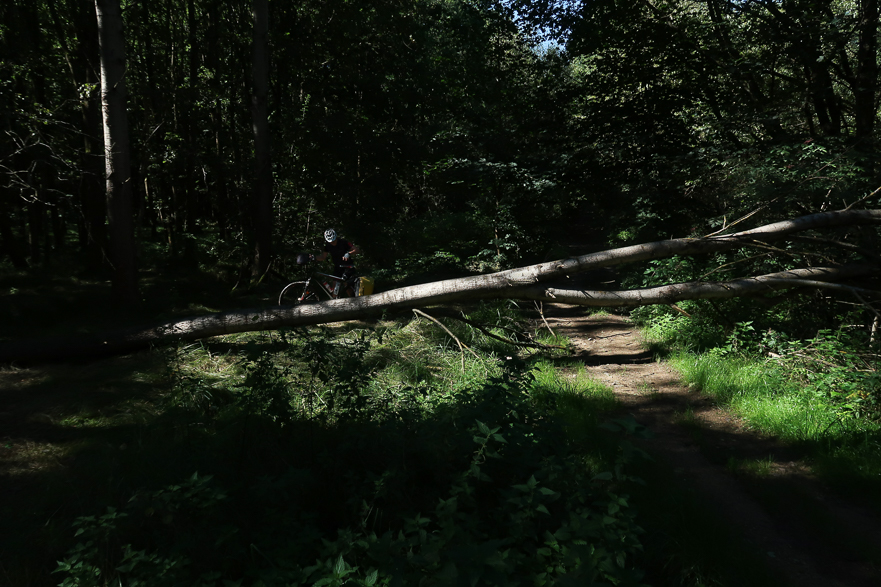 Mooraushub auf dem Abtransport wartend