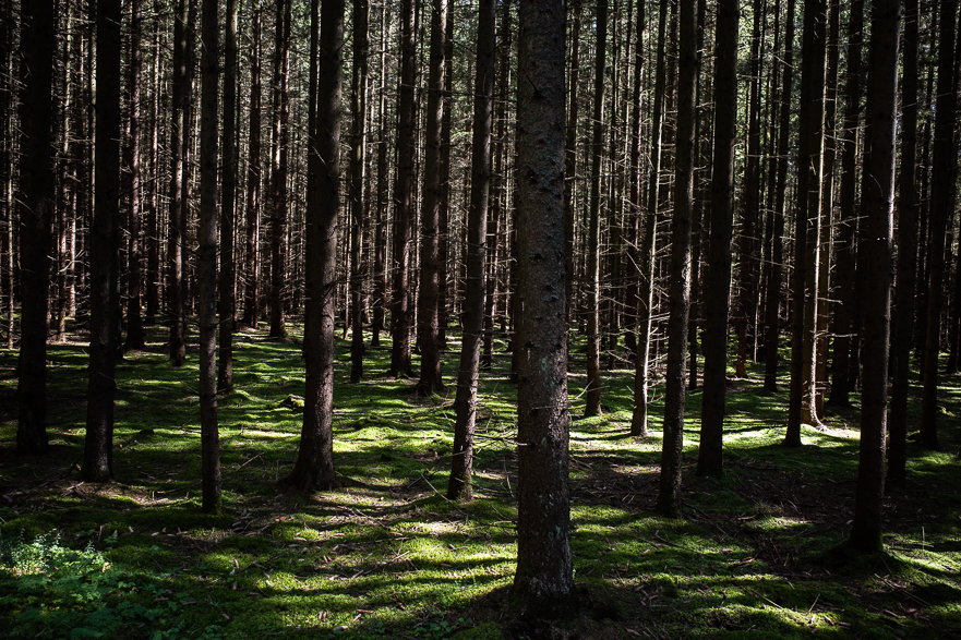 Slavonice – gepflegtes Städtchen, viele Radfahrer