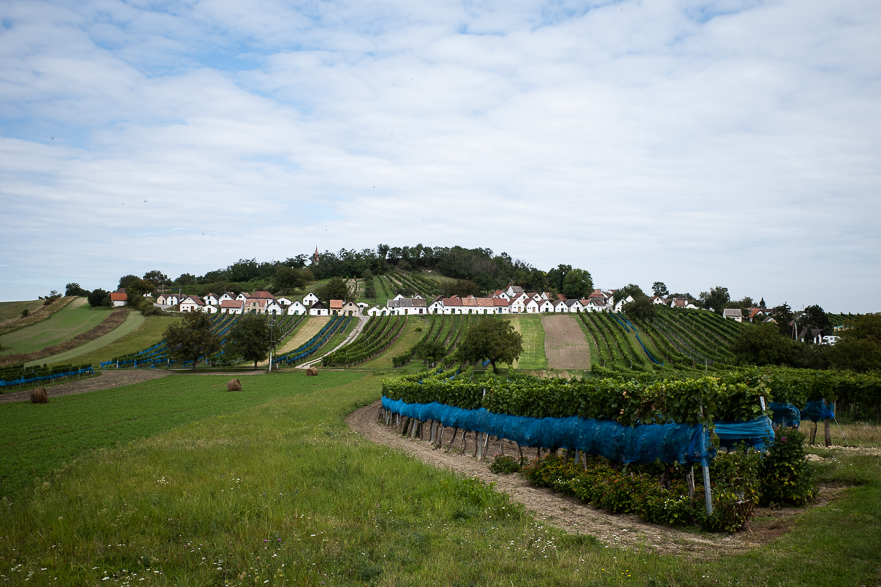 Letzter Grenzübertritt nach Tschechien