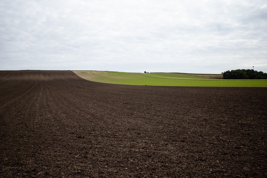 Weinbau nach Valtice