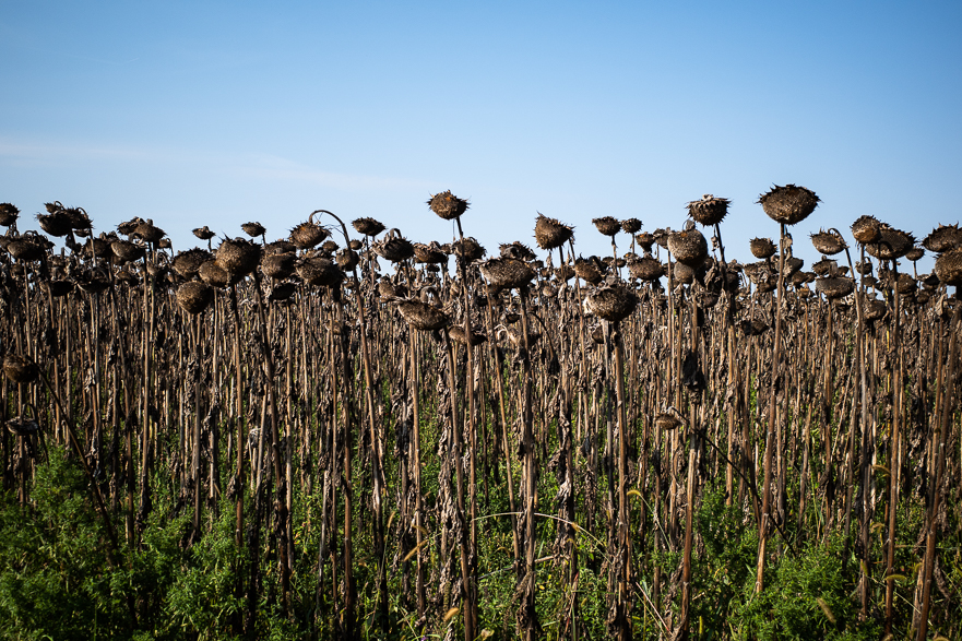 Überquerung der March – Grenze zur Slowakei