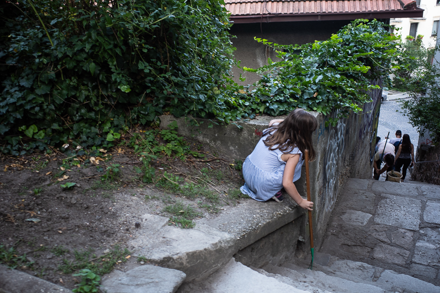 Hohenau – Bratislava: Entlang der March ins Ziel